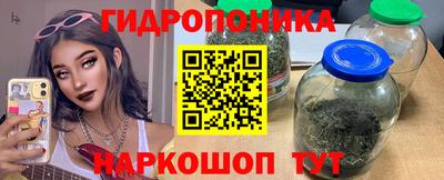 эйфоретик Свободный