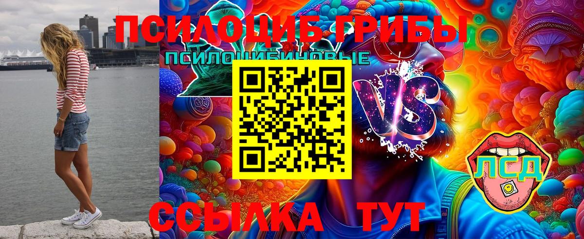 Галлюциногенные грибы MAGIC MUSHROOMS Первоуральск