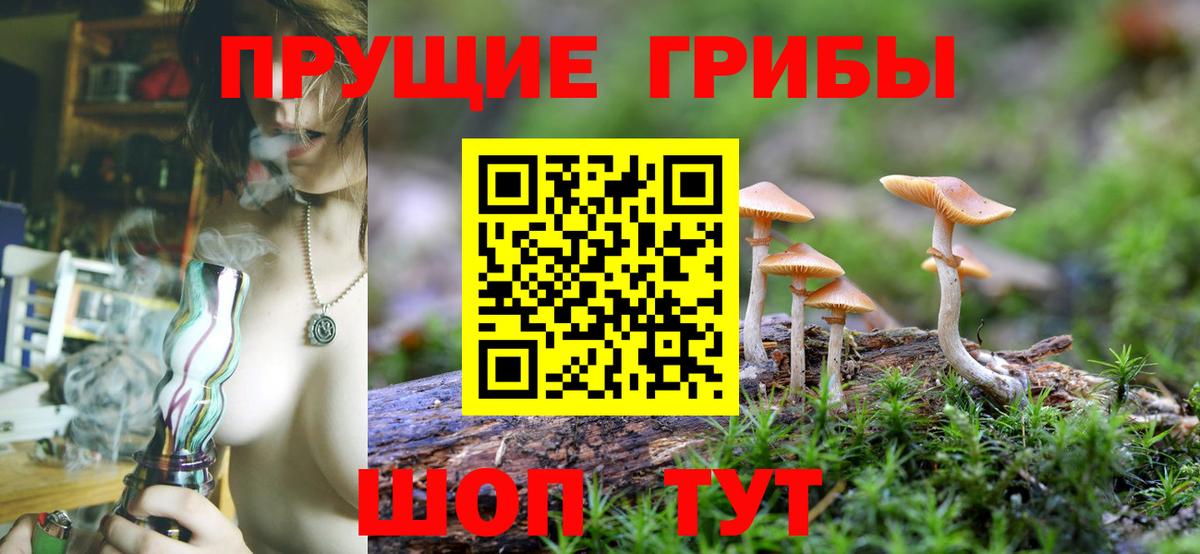 Псилоцибиновые грибы мицелий  Вход с VPN  Первоуральск 